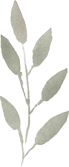 Galina – Lebensrednerin & Moderatorin – Blätter